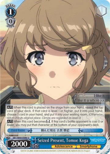 Seized present tomoe koga - present,,